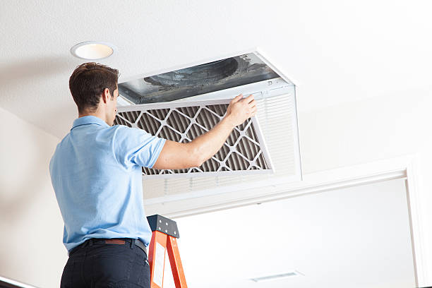 Best Air Filters and Purifiers in Hunter, TN